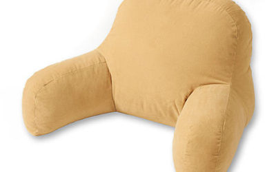 Kmart – Greendale Home Fashions Bed Rest Pillow – Hyatt Cream Only $40.51 (Reg $65.99) + Free Store Pickup