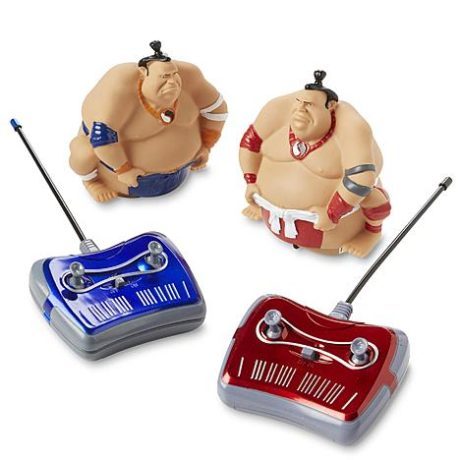 Kmart – Shift 3 Radio Controlled Sumo King Wrestling Set Only $4.99 (Reg $40.00) + Free Store Pickup