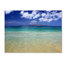 Sears – Trademark Fine Art Pierre Leclerc ‘Hawaii Blue Beach’ 14″ x 19″ Canvas Art Only $27.25 (Reg $37.99) + Free Store Pickup