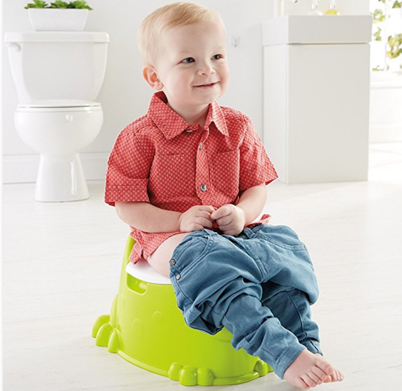 Amazon – Fisher-Price Froggy Potty Only $6