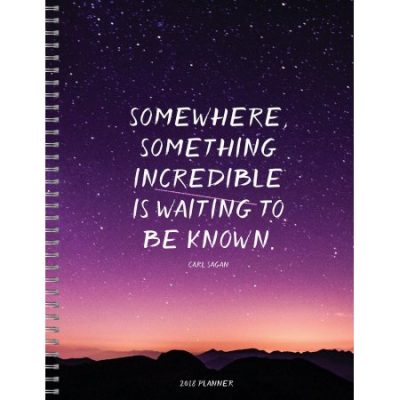 Walmart – TF Publishing 2018 Somewhere Something 9×11 Daily Weekly Monthly Planner Only $9.58 (Reg $13.10) + Free Store Pickup