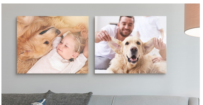 Personalized 16” x 20” Gallery Canvas + Free Shipping Only $29.99 (Reg $137.95)