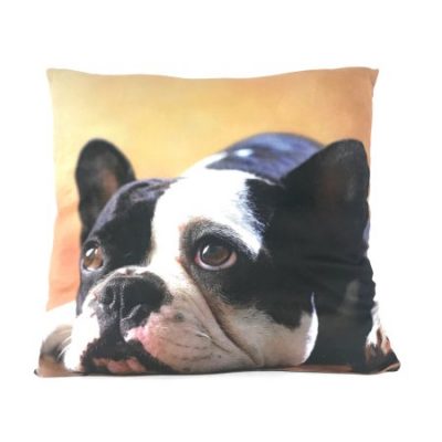 Walmart – Photo Real French Bulldog Selfie Throw Pillow Only $2.00 (Reg $8.88) + Free Store Pickup