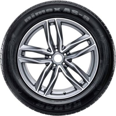 Walmart – Radar Dimax AS-8 Tires 235/50R18 101V BSW Only $64.90 (Reg $87.07) + Free Shipping