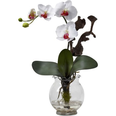 Walmart – Mini Phalaenopsis Silk Flower Arrangement with Fluted Vase, White Only $19.03 (Reg $30.99) + Free Store Pickup