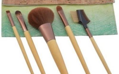 Walmart – Ecotools Starter Collection Brush, 5 count Only $9.98 (Reg $10.97) + Free Store Pickup