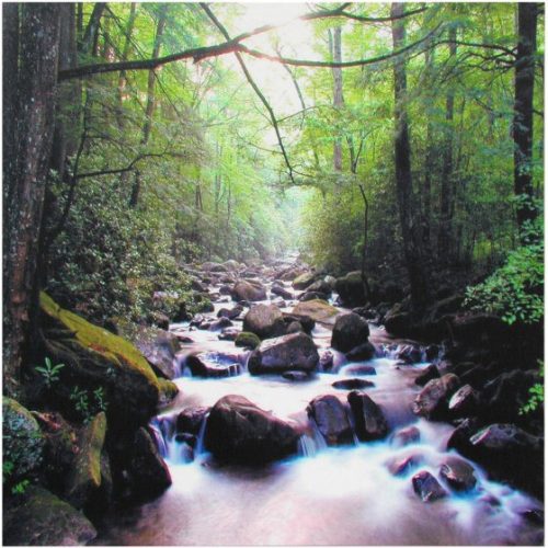 Walmart – River of Life Canvas Wall Art Only $17.79 (Reg $27.45) + Free Store Pickup