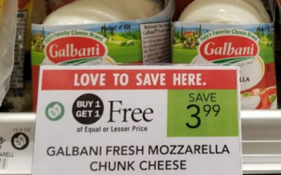 Publix – Galbani Fresh Mozzarella Chunk Cheese, 8-oz pkg Only $1 After Printable Coupon