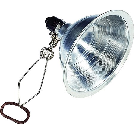 Walmart – Bayco SL-300 8.5 Inch Clamp Light with Aluminum Reflector Only $6.47 (Reg $9.55) + Free Store Pickup