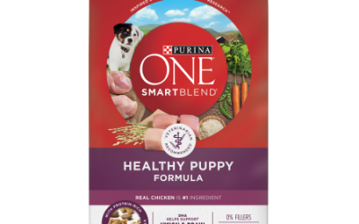 Walmart – Purina ONE SmartBlend Natural Healthy Puppy Formula Dry Dog Food – 8 lb. Bag Only $11.99 (Reg $13.50) + Free Store Pickup