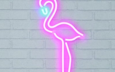 Walmart – Mainstays Flamingo Flex Neon on Die Cut Frame Only $24.88 (Reg $36.00) + Free Store Pickup