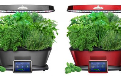 Walmart – Miracle-Gro AeroGarden Bounty Elite, Platinum with Gourmet Herbs Only $219.99 (Reg $379.95) + Free Shipping