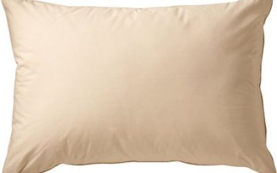 Walmart – AllerEase Organic Cotton Cover Allergy Protection Pillow, Standard/Queen (20 x 28) Only $8.25 (Reg $14.27) + Free Store Pickup