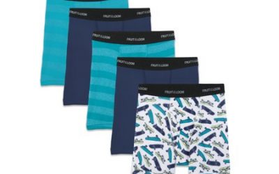 Walmart – Fruit of the Loom Boys’ Sport Style Boxer Briefs, 5 Pack Only $8.86 (Reg $10.46) + Free Store Pickup