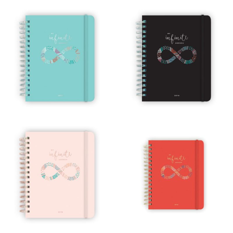 Walmart – My Infinite Agenda 2019 Daily/Monthly Planner Only $39.97 (Reg $58.00) + Free 2-Day Shipping