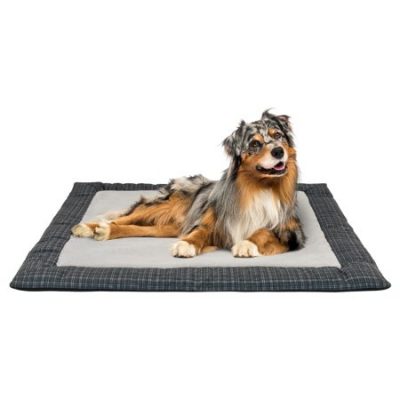 Walmart – Holiday Time 37″ x 42″ Nap Mat Only $9.99 (Reg $15.99) + Free Store Pickup