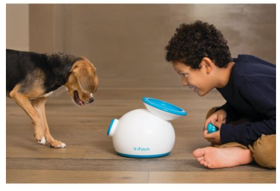 Walmart – iFetch Interactive Dog Ball Launcher Only $95.99 (Reg $130.86) + Free Shipping