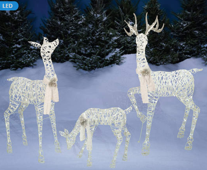 Big Lots- Winter Wonder Lane White Light-Up LED Deer Family, 3-Piece Set Only $60.00, Reg $140 (50% Off)