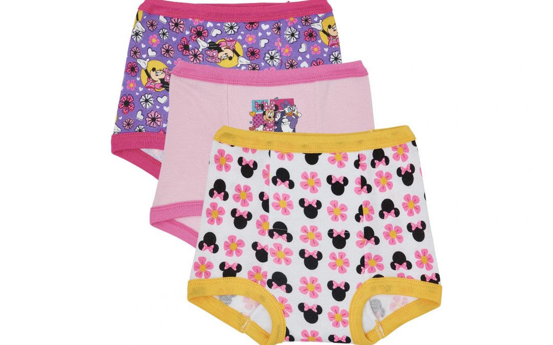 Walmart – Minnie Mouse Toddler Girls’ Training Pants Only $5.50 (Reg $6.47) + Free Store Pickup