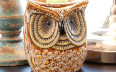 Walmart – ScentSationals Spotted Owl Full-Size Scented Wax Warmer Only $11.00 (Reg $15.00) + Free Store Pickup