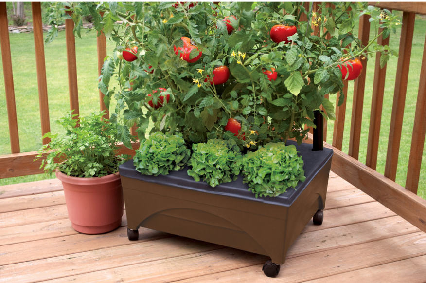 Lowes.com – Emsco Group Earth Resin Raised Garden Bed Only $19.98, Reg $29.98