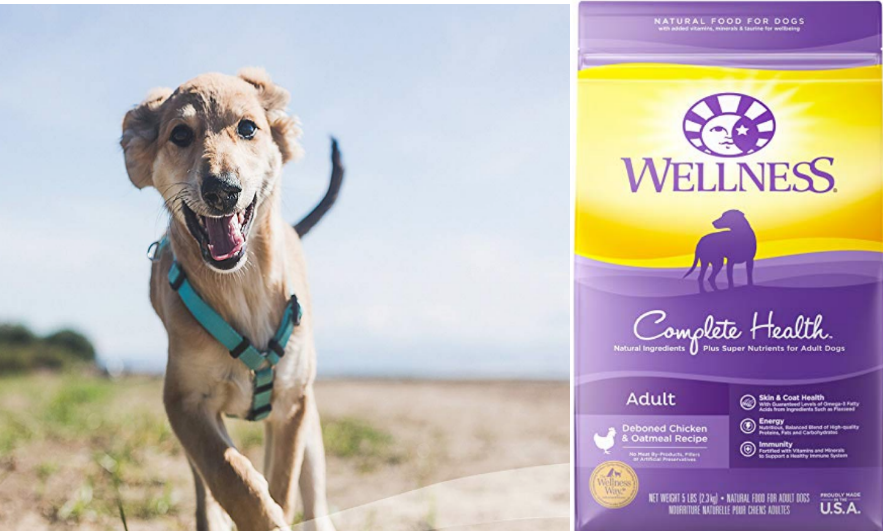 Amazon – 50% Off Wellness Complete Health Natural Dry Dog Food