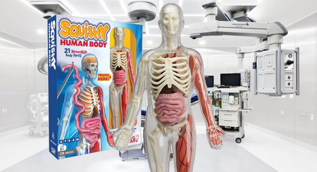 Smart Lab Squishy Human Body Kit Only $15.36, Reg $29.99 + Free Shipping!