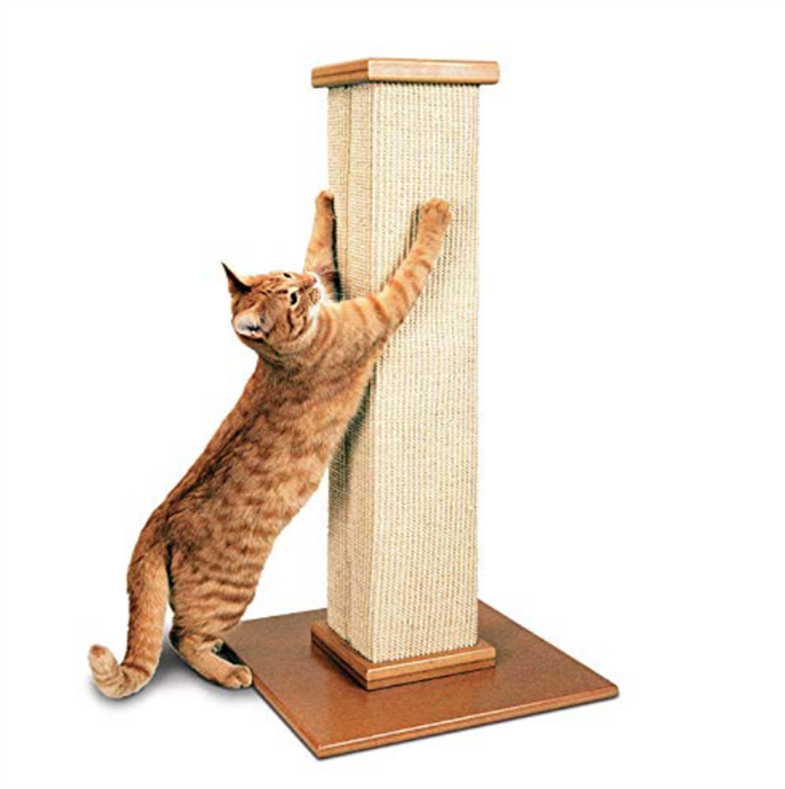 Amazon – SmartCat Pioneer Pet Ultimate Scratching Post Only $34.99, Reg. $49.99 + Free Shipping!