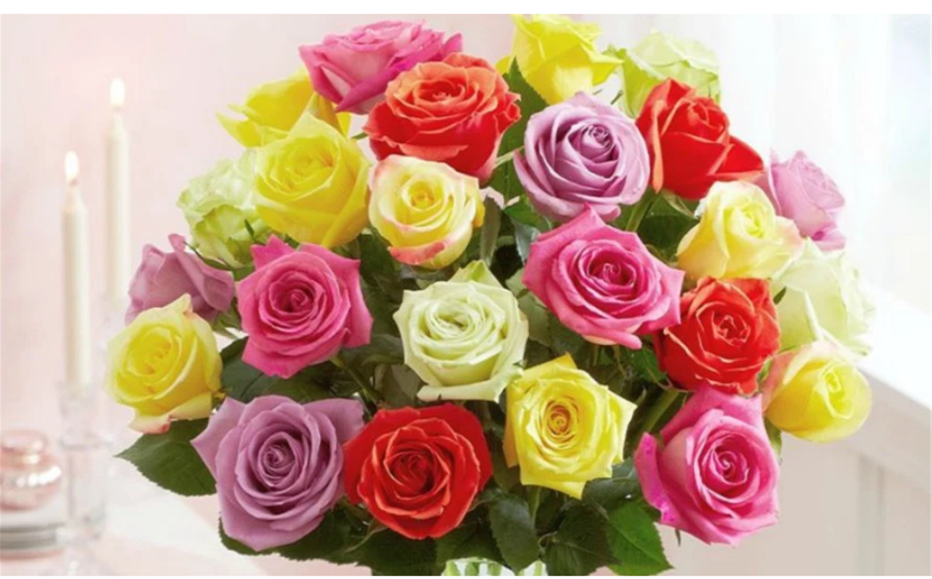 Two Dozen Assorted Roses Only $29.99 Delivered! GREAT VALENTINE’S DAY GIFT!!