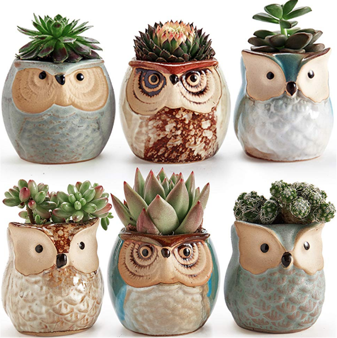 Amazon – Set of 6 Owl Flower Pots For Succulents Only $14.99! Plus Receive Two Succulents a Month For $8.00 Shipped!