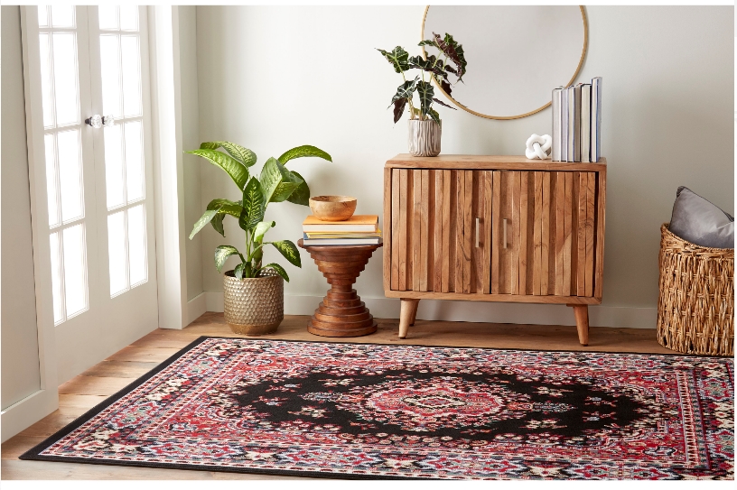 Home Dynamix Premium Sakarya 5 x 7 Area Rug Only $27.79, Reg $55.34 at Walmart.com!