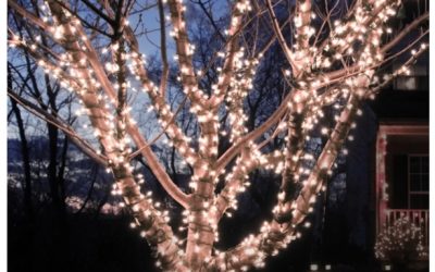 LED String Lights 60 Foot 110 Solar Powered Only $14.99, Reg $29.99 (3 Color Options) + Free Shipping On ALL Orders!