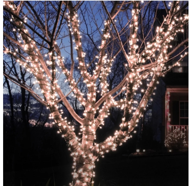 LED String Lights 60 Foot 110 Solar Powered Only $14.99, Reg $29.99 (3 Color Options) + Free Shipping On ALL Orders!